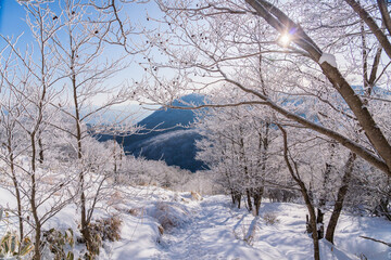 樹氷輝く赤城黒檜山スノーハイク