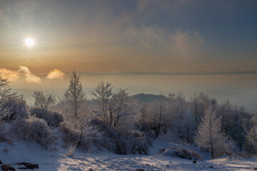 朝日に輝く樹氷の赤城山地蔵岳スノーハイク