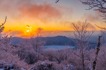 樹氷の赤城山地蔵岳登山道から朝日に染まる樹氷と完全氷結の小沼
タイトル変更