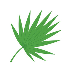 Green Palm Leaf Vector Clipart Isolated on White Background for Tropical Design