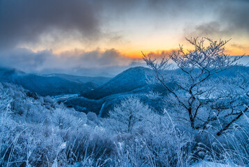 朝日に輝く樹氷の赤城山地蔵岳スノーハイク