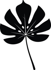 silhouette of a tropical monstera leaf isolated on white background vector design © Ummei