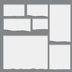 Torn pieces of white lined notebook paper on a gray background,Torn Lined Paper Pieces Collection on Grey Background,paper cut,torn paper,note paper cut