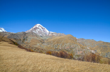 Majestic, snow capped Kazbek mountain peak towers over golden, dry grassy slopes and rocky ridges under a vibrant blue sky. The rugged terrain is dotted with sparse, autumn colored shrubs. Caucasus