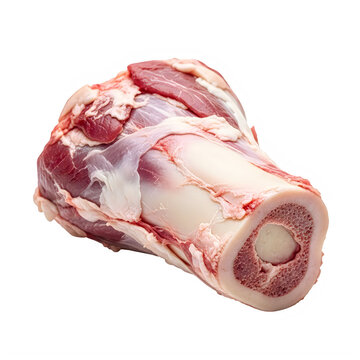 Raw lamb shank bone-in cut isolated on transparent background