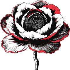 Minimalist vector graphic showing a simple file icon labeled vector file