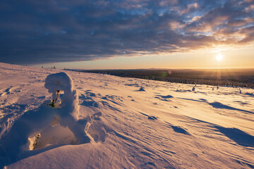 Hiking to the summit of Mount Kiilopää during a spectacular arctic sunset in Finnish Lapland. © julen