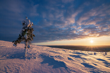 Hiking to the summit of Mount Kiilopää during a spectacular arctic sunset in Finnish Lapland. © julen