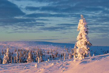 Hiking to the summit of Mount Kiilopää during a spectacular arctic sunset in Finnish Lapland. © julen