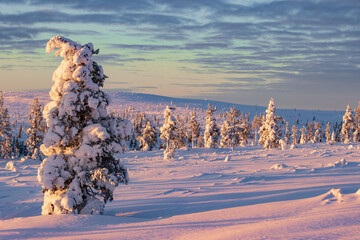 Hiking to the summit of Mount Kiilopää during a spectacular arctic sunset in Finnish Lapland. © julen