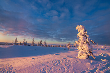 Hiking to the summit of Mount Kiilopää during a spectacular arctic sunset in Finnish Lapland. © julen
