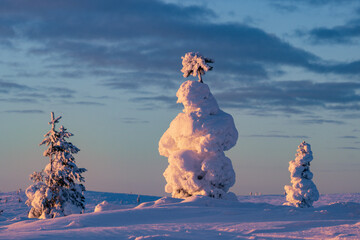 Hiking to the summit of Mount Kiilopää during a spectacular arctic sunset in Finnish Lapland. © julen