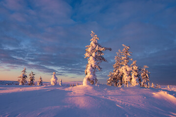 Hiking to the summit of Mount Kiilopää during a spectacular arctic sunset in Finnish Lapland. © julen