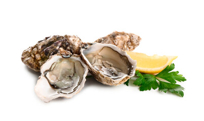 Delicious fresh oysters with lemon and parsley on white background © Pixel-Shot