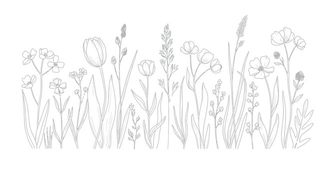 Beautiful black and white line art illustration depicting a variety of diverse meadow wildflowers and tall grasses growing together in a natural horizontal border design.