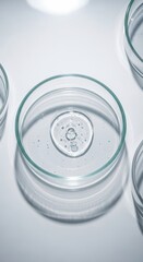 Laboratory Petri dishes with water and cells viewed from above