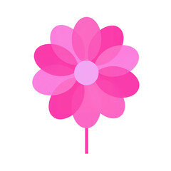 A pink flower graphic on a black background