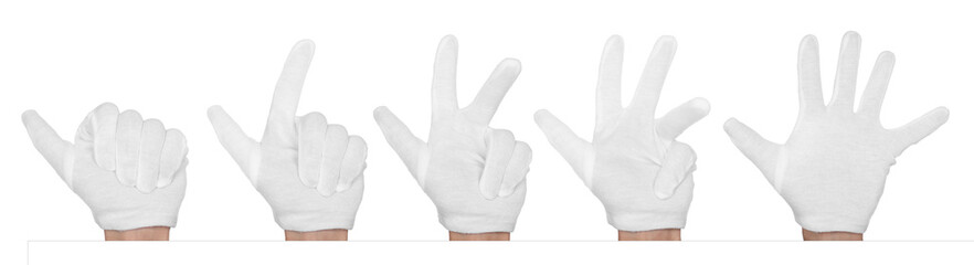 Obraz premium Hands in cloth glove isolated on white, set