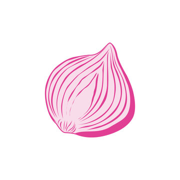 Red Onion Half Slice Line Art Vector Illustration Minimal Food Icon