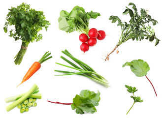 Spring season plants and vegetables isolated on white, set