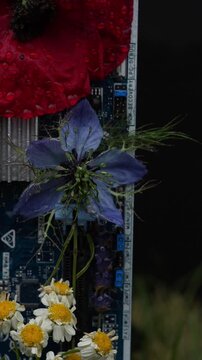 Environmental Awareness Scene &ndash; Discarded Computer Components Reclaimed by Nature