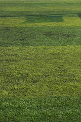 artificial green grass background for playground