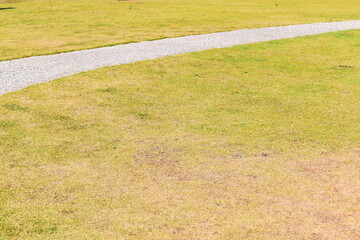 stone path and green grass in the garden