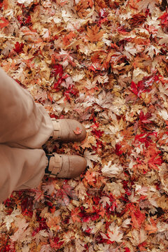 An overhead photo of a woman wearing suede shoes standing in colorful fall leaves. 