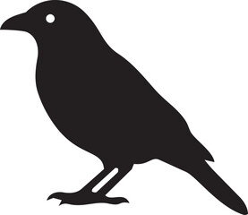 Obraz premium Black Silhouette of a Crow or Raven Standing on White Background