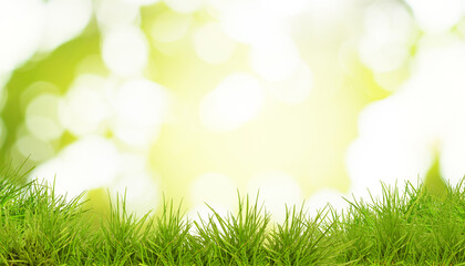 Obraz premium Vibrant grass against blurred green background. Banner design