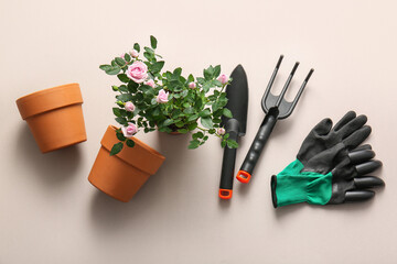 Beautiful pink rose in pot and gardening supplies on white background. Top view © Pixel-Shot