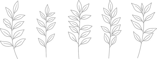 Black line drawings of leaf branches in a row