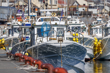 静岡県・由比漁港に密集して係留された白い漁船群