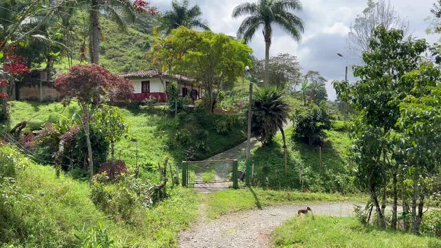 Beautiful Colombian colonial farm in Pijao, Quindio.