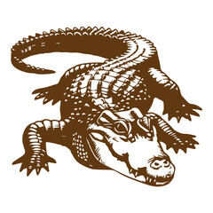 Obraz premium Aggressive Alligator Art