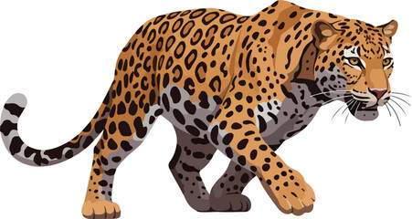 Fototapeta premium Jaguar Vector Illustration Vivid Orange Black Spots Walking Isolated