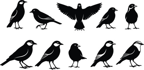 Black and white bird silhouettes collection, flying birds, perched birds, avian shapes, feather patterns, wildlife illustration, nature design, vector animal icons, decorative art © Azizul360