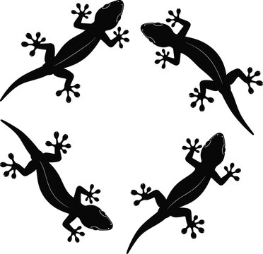 Black gecko silhouettes in circular pattern, reptile icons, lizard shapes, animal design, wildlife illustration, decorative art, nature vector, exotic reptile symbol