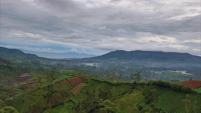 Cinematic timelapse of rolling mist and moving clouds over lush tea plantations in a tropical highland valley.