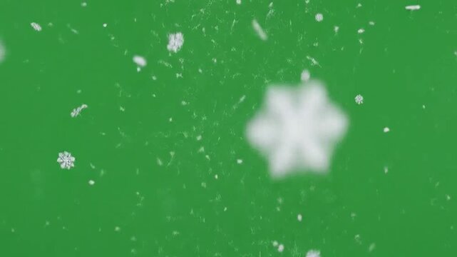 White snowflakes falling on a vibrant green screen background, ideal for winter