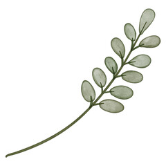 Obraz premium Watercolor Illustration of a Green Leafy Branch