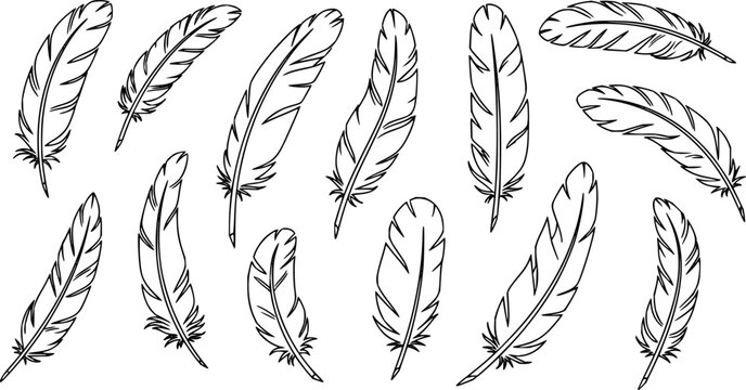Simple hand drawn feather outline icons for decorative elements and spiritual themes, perfect for craft projects and greeting cards