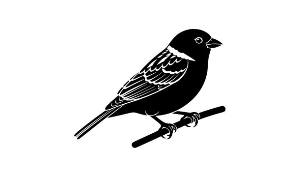 Sparrow perched on branch vector silhouette small bird logo stencil isolated on white