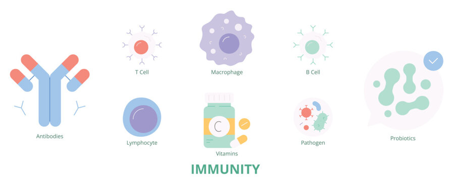 Immunity Flat Banner Web Icon Set Vector Illustration