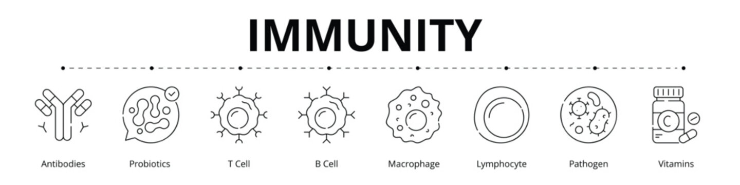 Immunity Line Banner Web Icon Set Vector Illustration