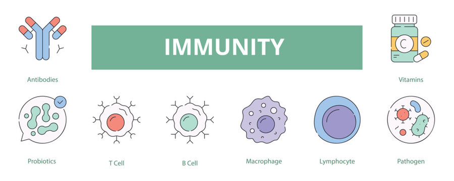 Immunity Lineal Color Banner Web Icon Set Vector Illustration