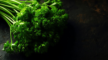 Fototapeta premium Fresh parsley, a vibrant culinary herb, sits against a dark surface
