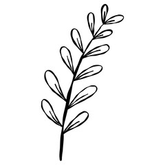 Elegant hand-drawn botanical leaf branch doodle in a minimalist line art style.