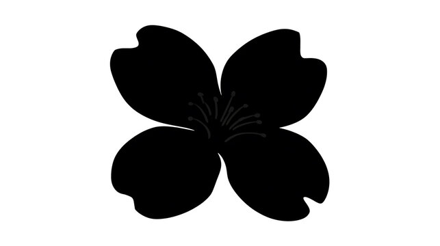 An Elegant Silhouette of a Cherry Blossom