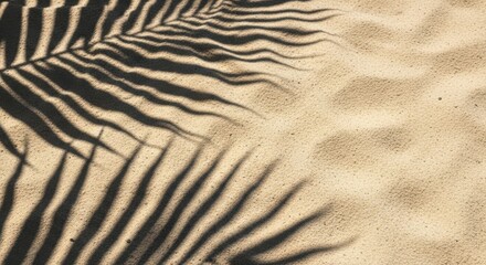 A serene beach scene with palm tree shadows on the sand